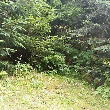Pensiunea Vlahopol Penzion *