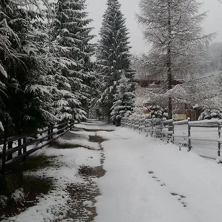 Penzion Pensiunea Vlahopol